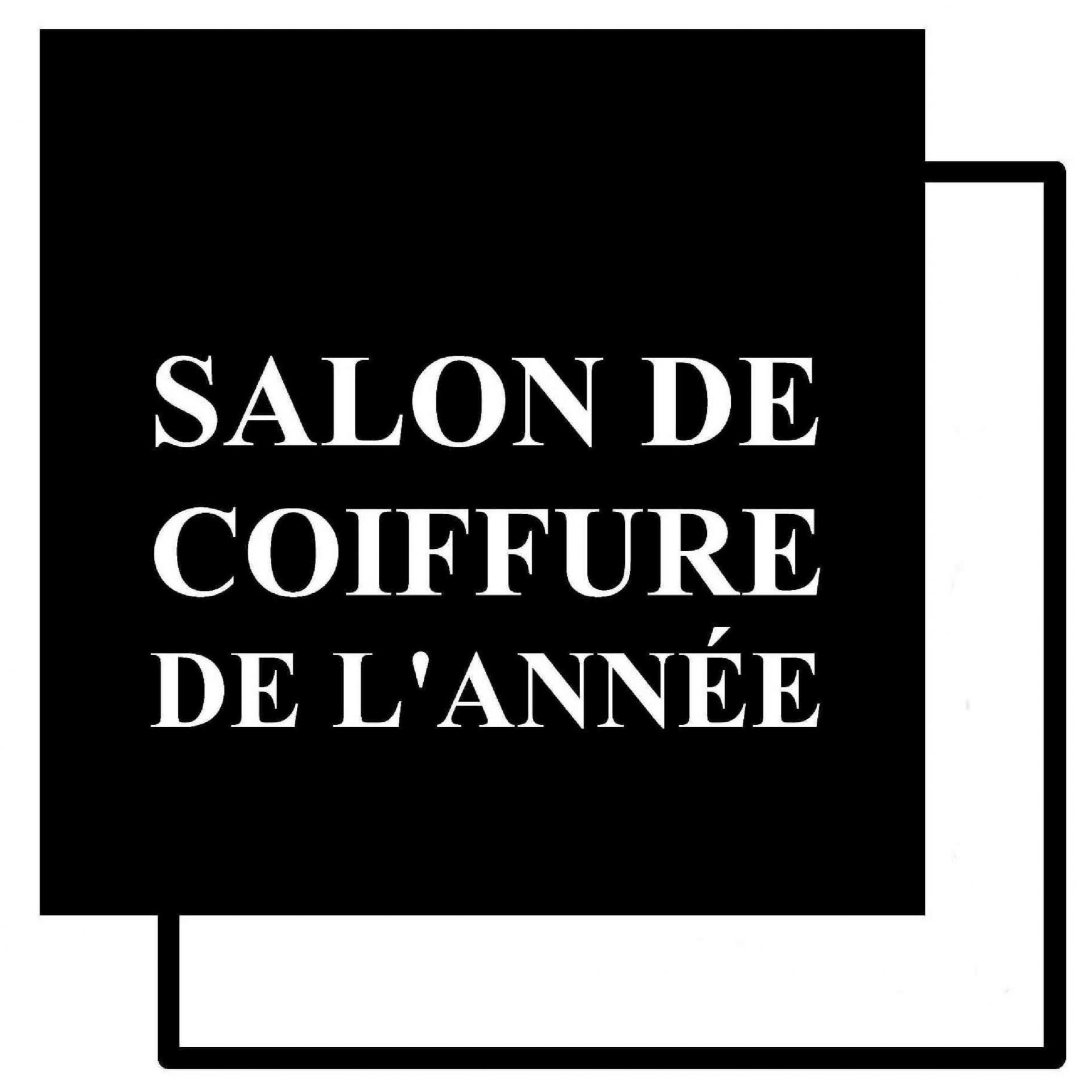 Salon de coiffure de l annee logo officiel copie